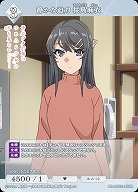 静かな迫力 桜島麻衣 【BB-SBS2-058R】